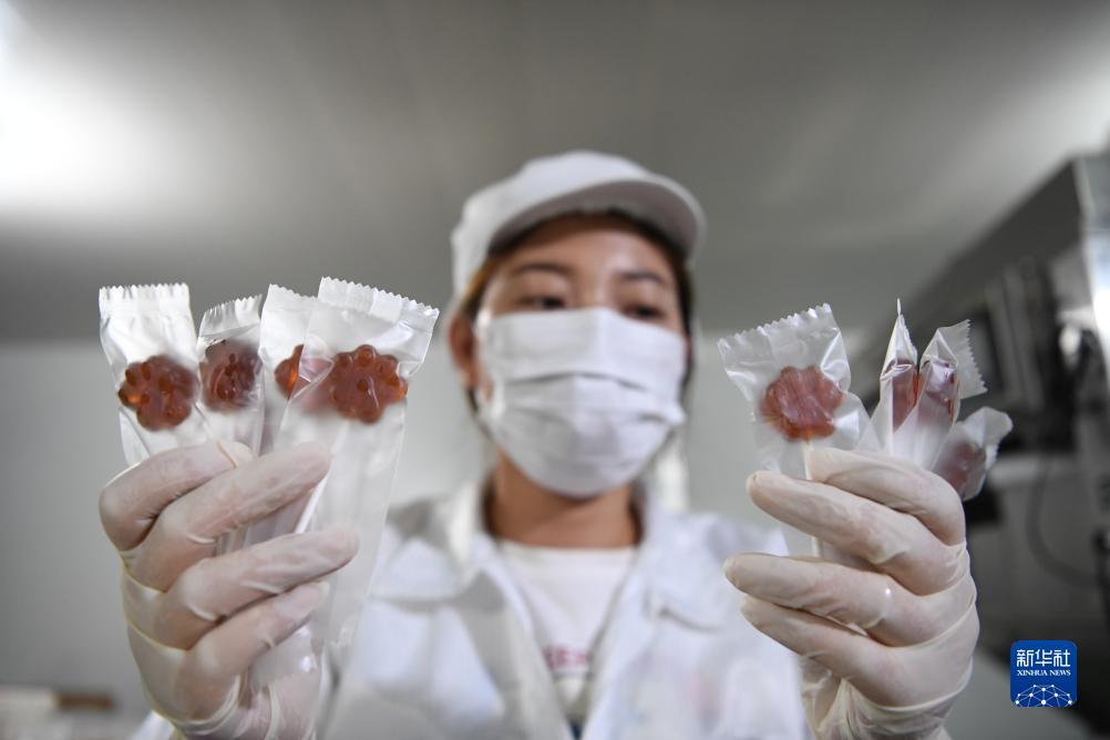 威尼斯线上娱乐场官网